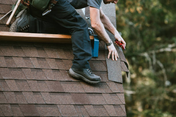 Best Roof Restoration Services  in Jellico, TN